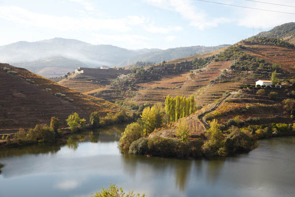 The view over the river and vineyards from Quinta do Tedo in the Douro Valley