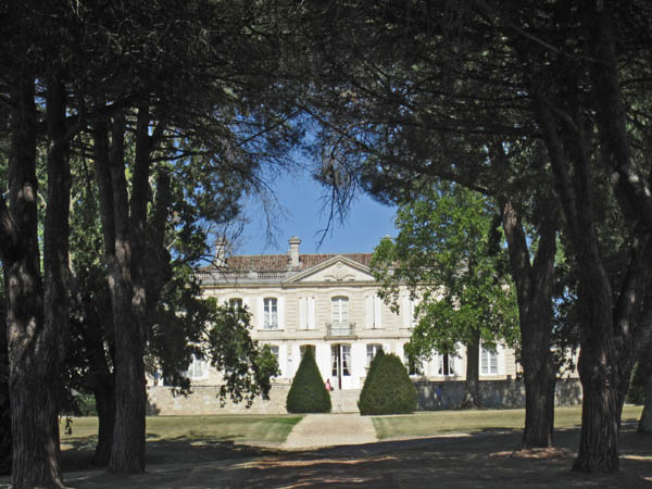 Chateau la Dauphine in Bordeaux with its extraordinary pine tree allee