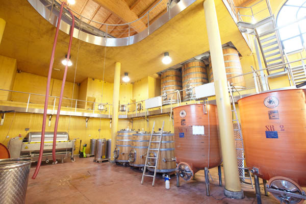 The vat hall at the Caiarossa winery