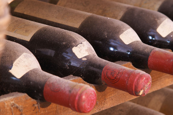 Old bottles in the wine cellar