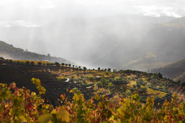 Douro landscape and vineyards a rainy and sunny day