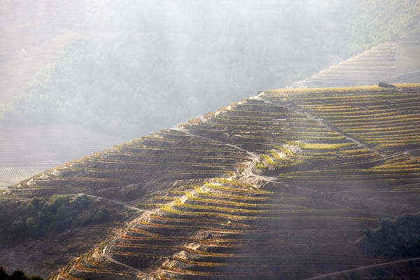Douro landscape and vineyards a rainy and sunny day