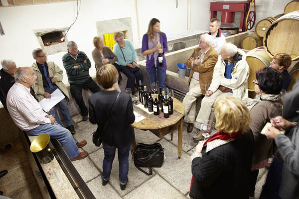Tasting wine in the cellar in the Douro