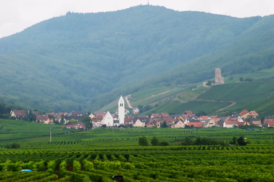 Vineyards in Katzenthal, Alsace