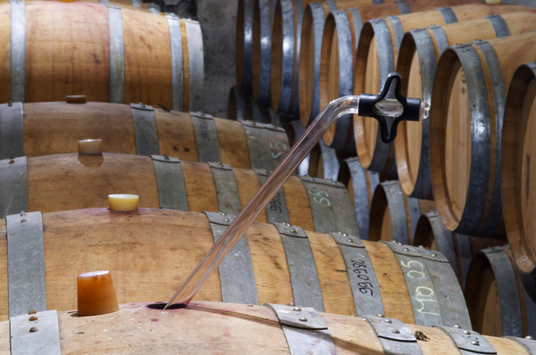 Oak barrels in the wine cellar and a tasting pipette