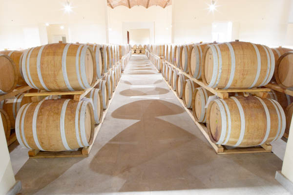 An elegant wine cellar & oak barrels