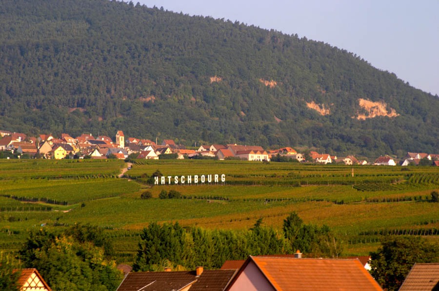 Vineyard and a village in Alsace