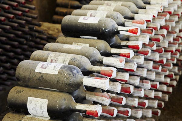 Old bottles ageing in the wine cellar