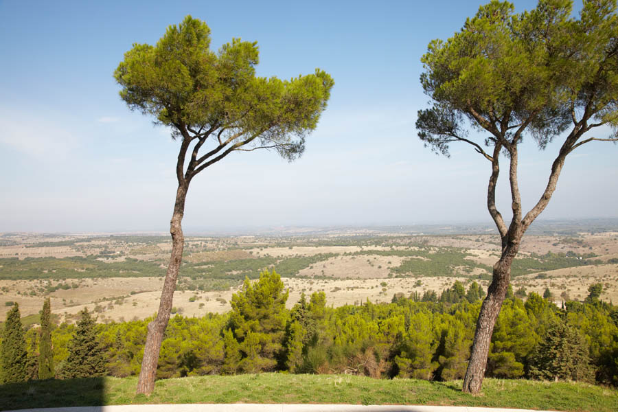 View over the landscape in Apulia
