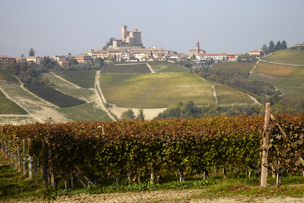 Vineyards on the slopes of Piedmont and an old village