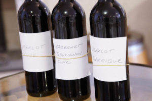 Base wines for blending, merlot, cabernet, oak barrel