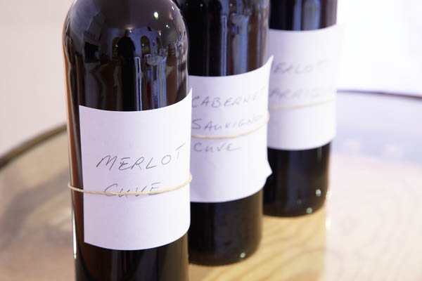 Base wines for blending, merlot, cabernet, oak barrel