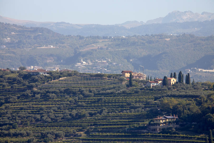 Vineyards and landscape in Valpolicella