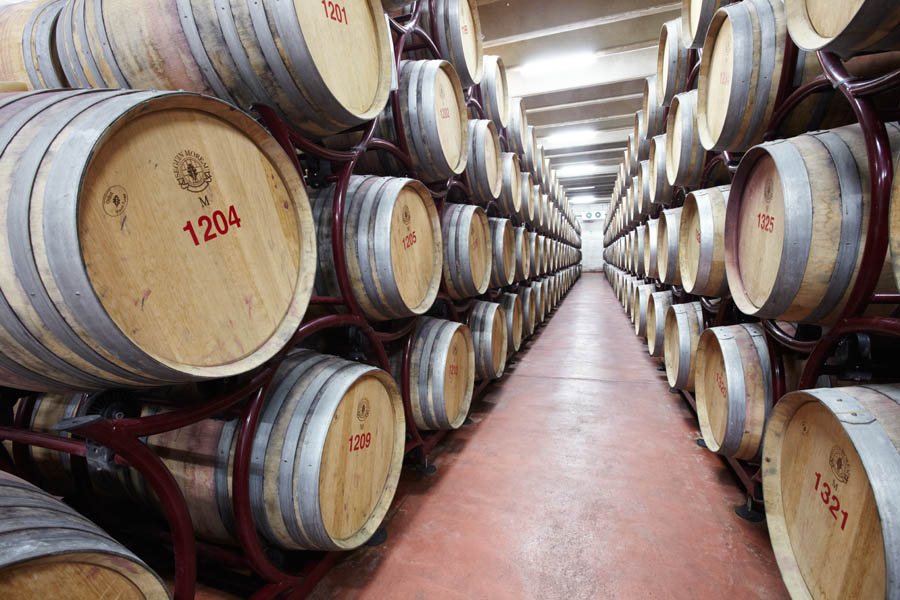 A lot of oak barrels in the wine cellar