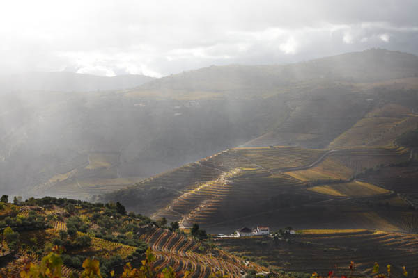 Douro landscape with terraced vineyards in rain and sunshine
