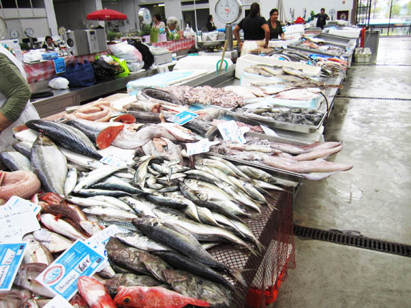 The fish market in Matosinhos, Porto