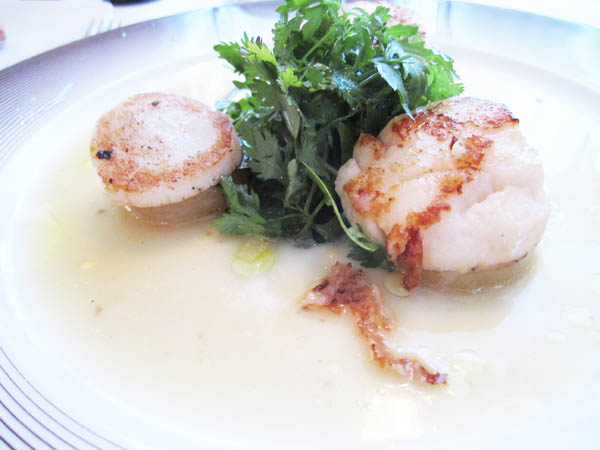 Scallops in sancerre sauce