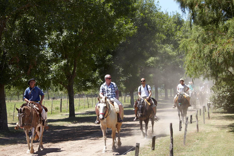 Horse riding on an estancia on The Pampas