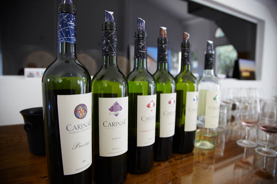 Tasting wines at Carinae in Mendoza