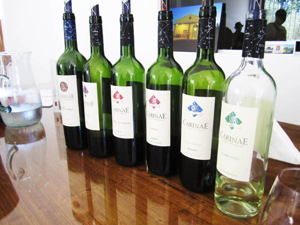 A CarinaE wine tasting in Medoza