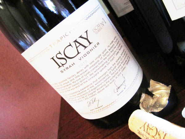 Trapiche Terroir Iscay Syrah Viognier 2010