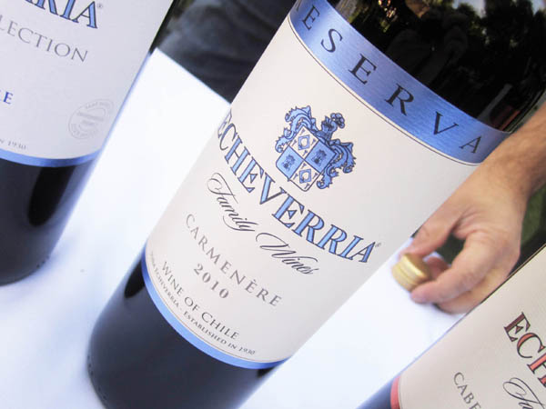 Echeverria Reserva Carmenère 2011