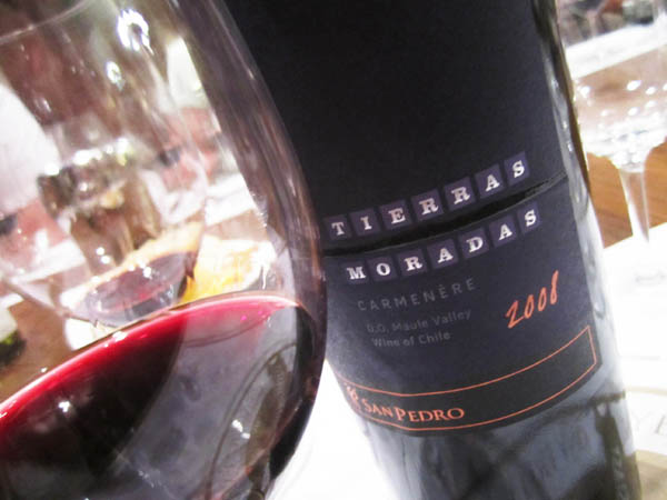 Viña San Pedro Tierra Moradas Carménère 2008 Maule Valley