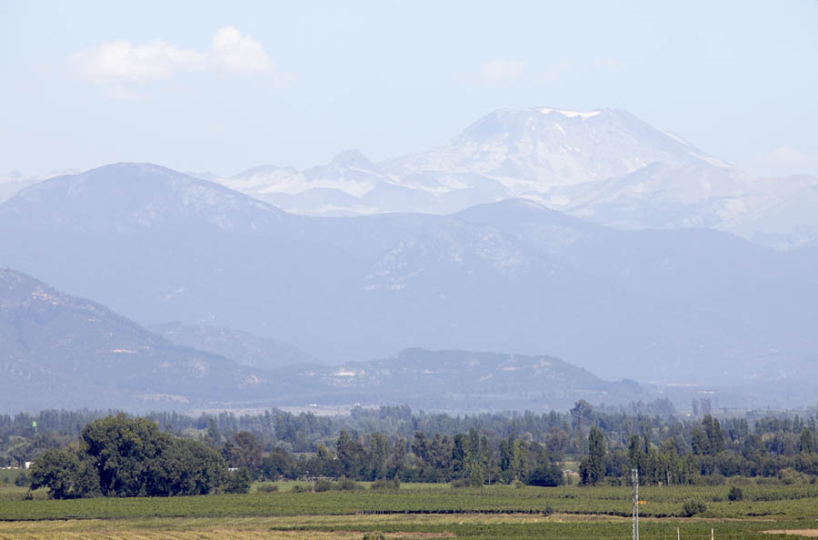 View over the vineyards and the mountains in Chile