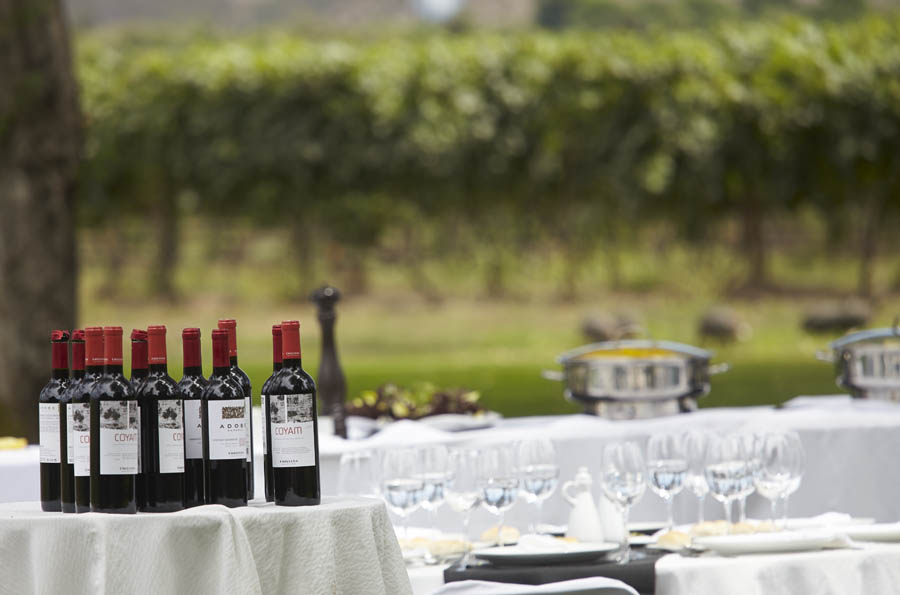 Tasting and lunch in the garden at a winery in Chile