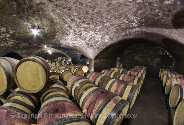 Barrel cellar at Chanson in Burgundy