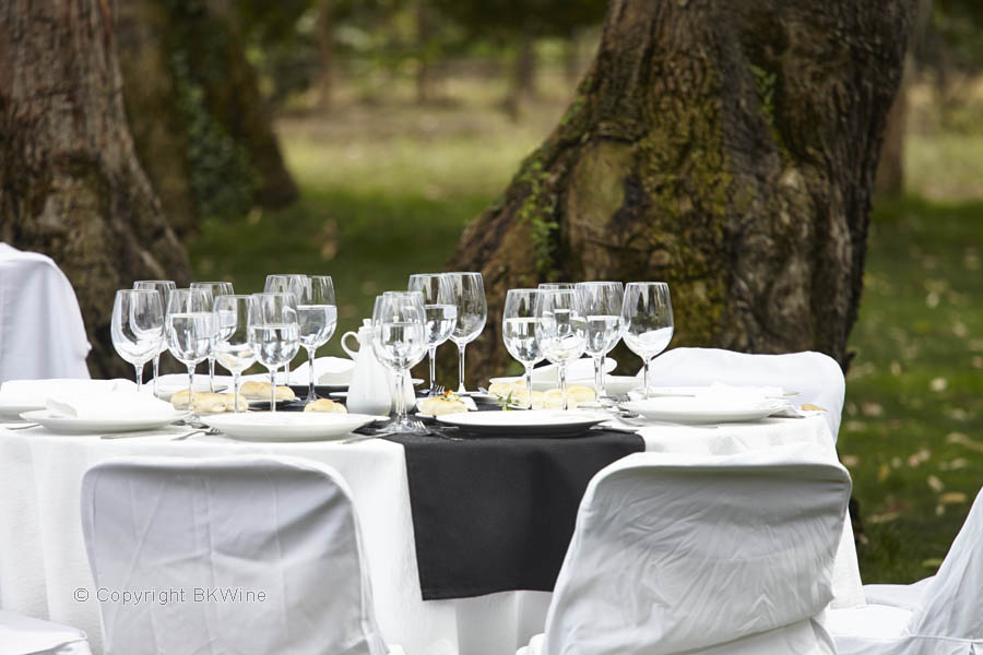 Lunch among the vines at Emiliana in Casablanca Valley