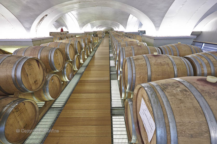 A cellar filled with wine barrels