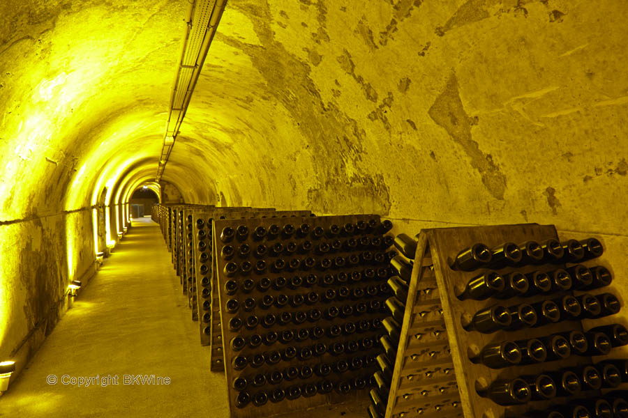 Bottles in a wine cellar in Champagne