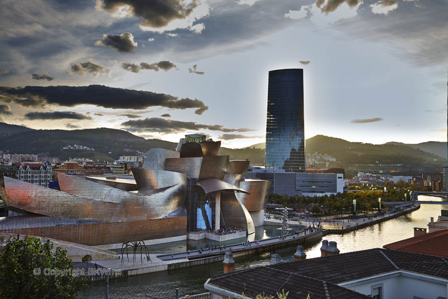 The Guggenheim museum, Bilbao