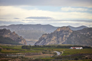 Landscape with vineyards and mountains, Rioja