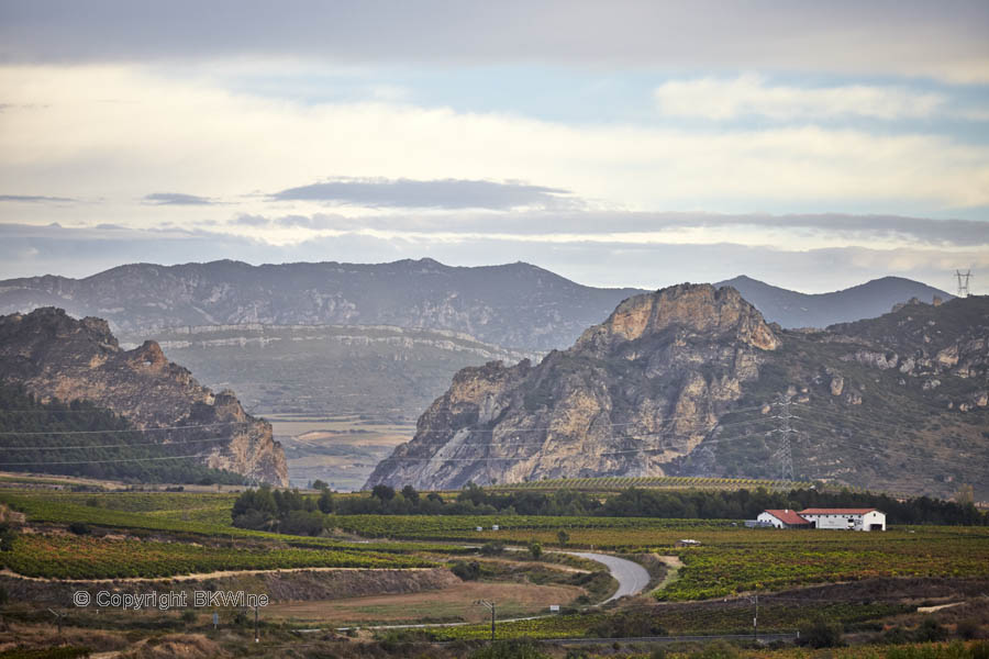 Landscape with vineyards and mountains, Rioja