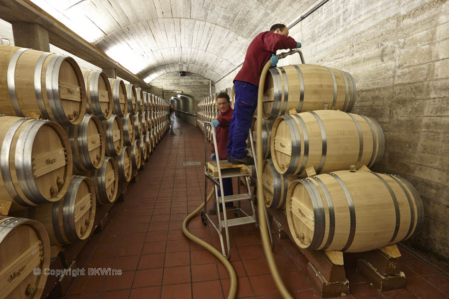 Filling barrels in the wine cellar, Rioja