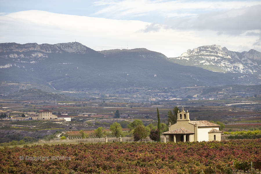 Landscape with vineyards, church and mountains, Rioja