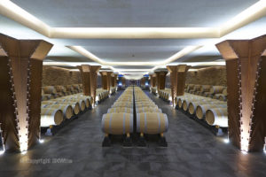 Oak barrels in a modern wine cellar