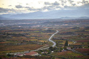 Landscape with vineyards and mountains, Rioja