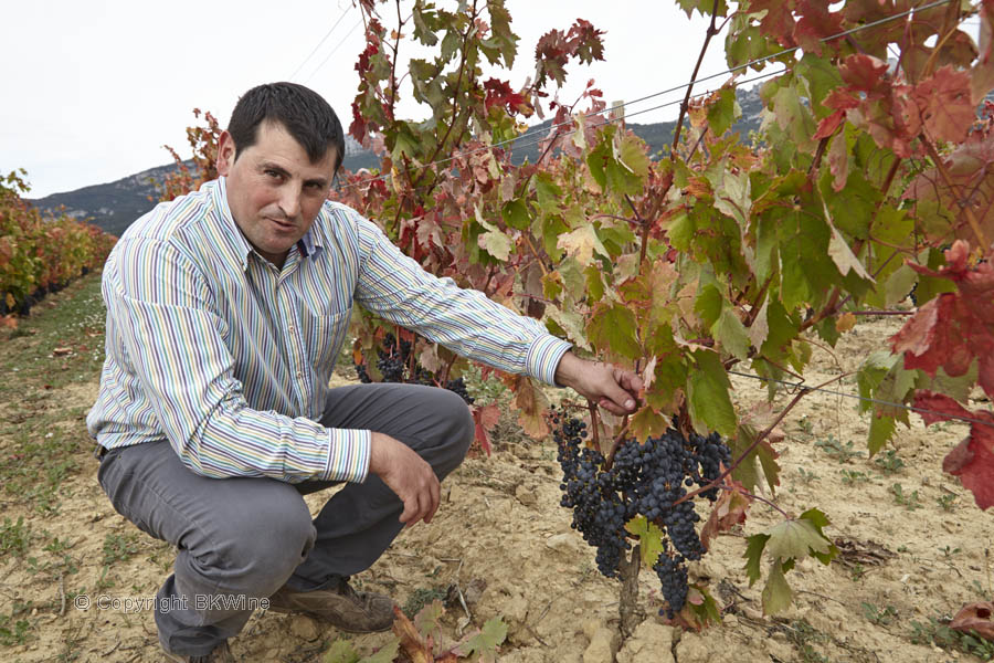 A Rioja winemaker in the vineyard