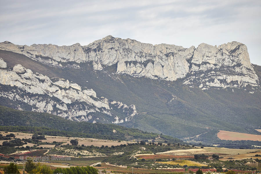 Landscape with vineyards and mountains, Rioja