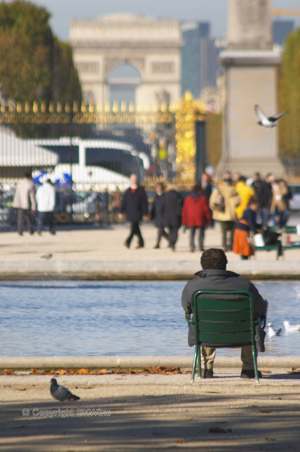 In the Jardin des Tuileries, looking at the Arc de Triomphe, Paris