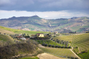 Le Marche landscape, lush green with rolling hills