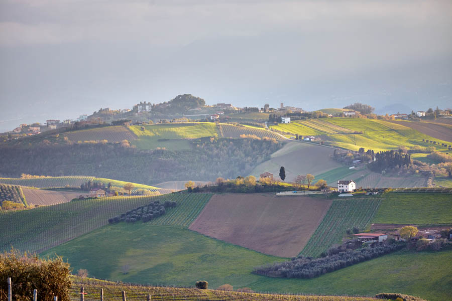 Le Marche landscape, lush green with rolling hills