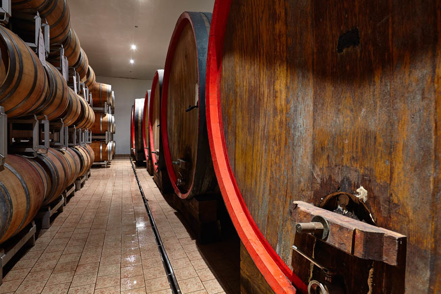 Italian botti and oak barrels in a wine cellar in Le Marche