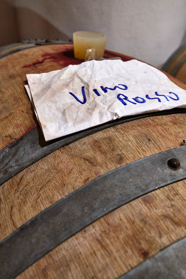 A barrel with "vino rosso" in a cellar in Le Marche