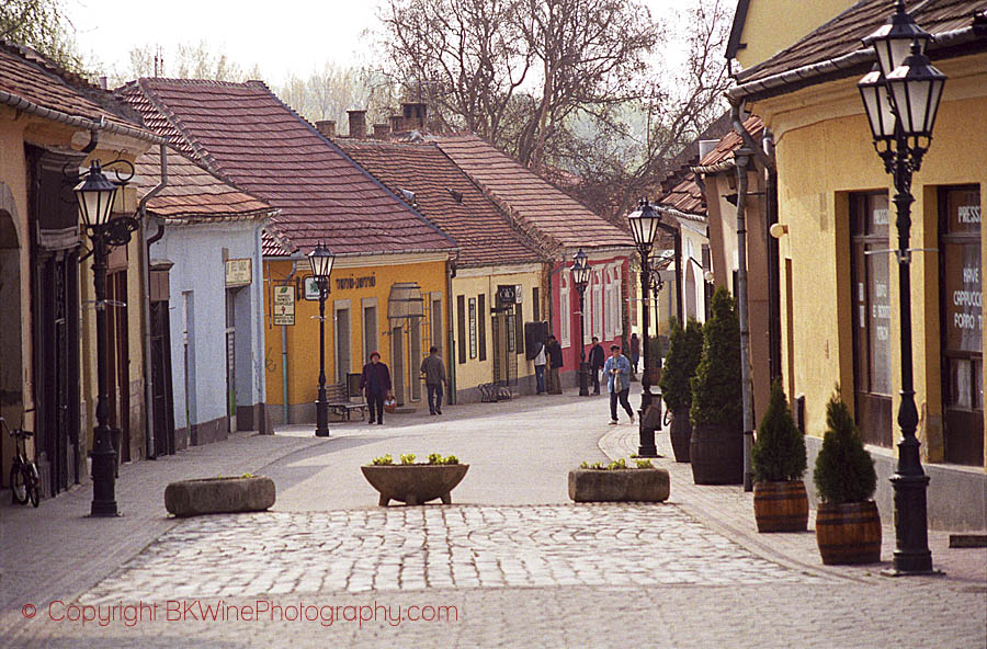The main street in the village of Tokaj