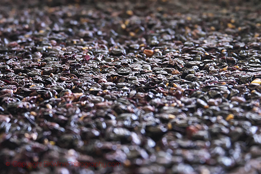 Red grapes too ferment in Austria