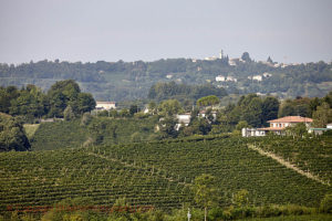 Hills, vineyards, and villages in Veneto